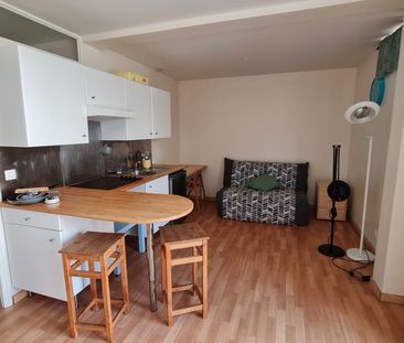 Location Appartement 1 pièce 23m² VILLEBON SUR YVETTE 91140 - Photo 3