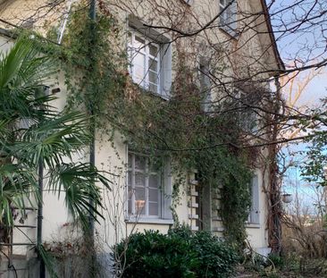 Neuhausstrasse 35/37, 4057 Basel - Photo 2