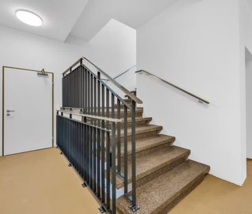 2.5 Zimmer, 80 m², 1. Stock - Photo 3