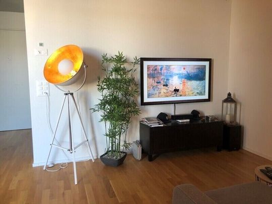 21/2-ROOM APARTMENT IN MURI (AG), FURNISHED, TEMPORARY - Photo 1