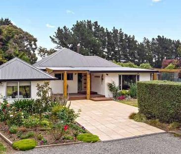 Lifestyle Property - Photo 4