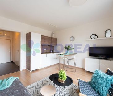 Pronájem bytu 1+kk 29 m2 - Fotografie 3