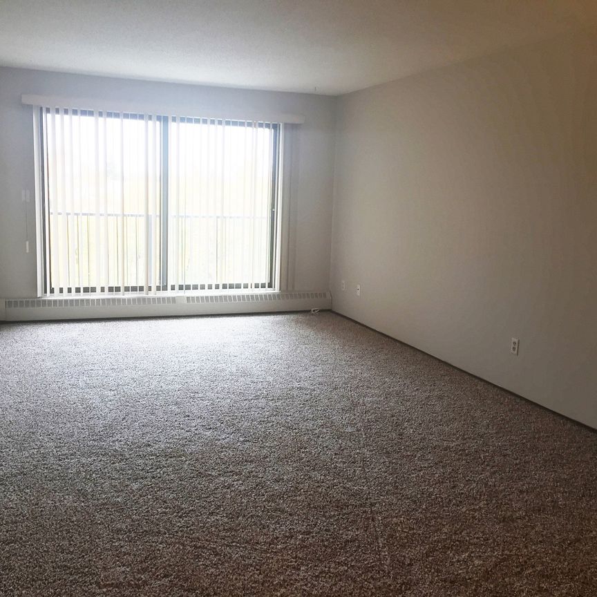Spacious 1 Bedroom Apartment Located in a Well-Maintained Building - Photo 1