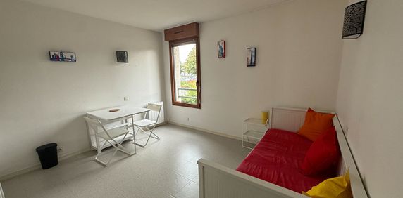 Location Appartement 1 pièce 18m² - Photo 2