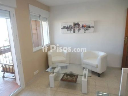 Piso en alquiler en Ciudad Jardín-Zoco - Photo 3