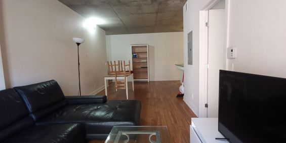 1 Bedroom - 1414 Rue Chomedey, Montréal - Photo 3