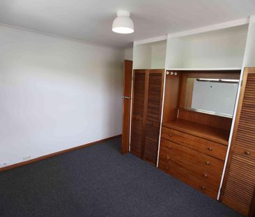 Newly Renovated Sunny Home in Taroona - Photo 1