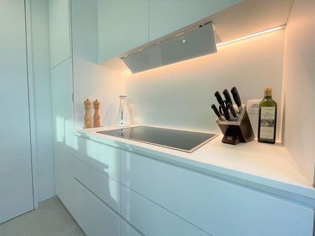 HOOGWAARDIG AFGEWERKT 1 SLP APPARTEMENT MET RUIM ZW TERRAS - Photo 5