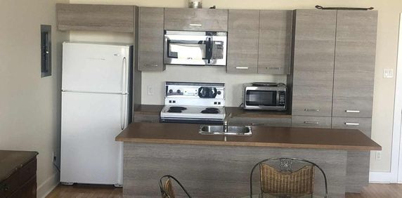 Très grand loft, plafonds 12 pieds, 2 chambres situé dans un Couvent au pittoresque village du Vieux Sainte-Rose Laval, 2250$ tout inclut - Photo 2