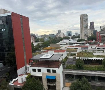 DEPARTAMENTO AMUEBLADO EN RENTA EN POLANCO - Photo 6