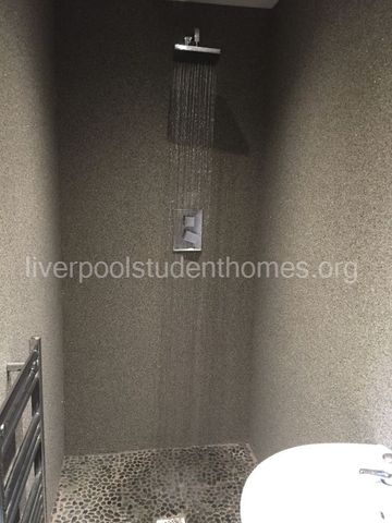 Smithdown Road - Photo 5