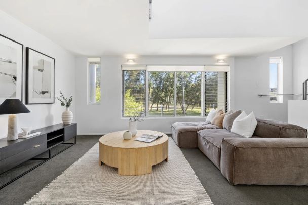 Another Successful Result By David Ibanez - Photo 1