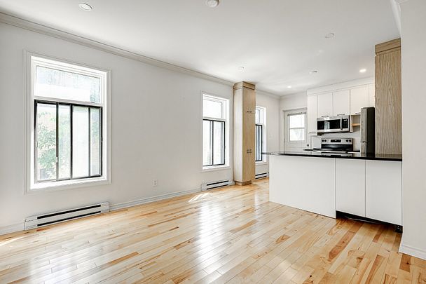 Condo for rent, Montréal (Le Plateau-Mont-Royal) - Photo 1