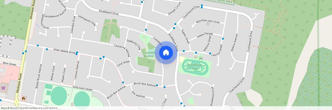 21 Coolabah Road, Medowie NSW 2318