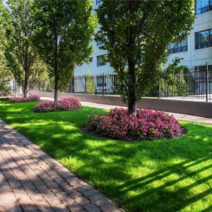 Castellana - Photo 2