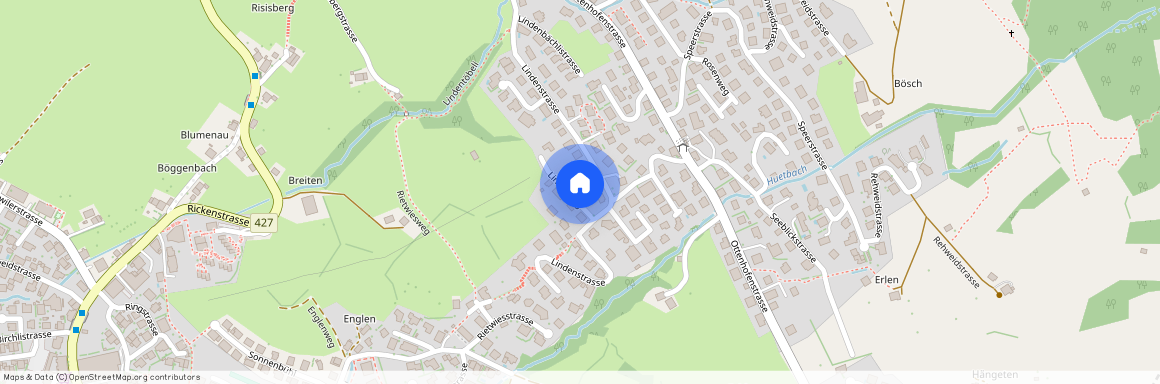 8738, Uetliburg SG, Lindenweg, 2