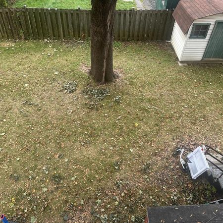 5 et 1/2 Villeray 1800$ chauffage inclus - Photo 4