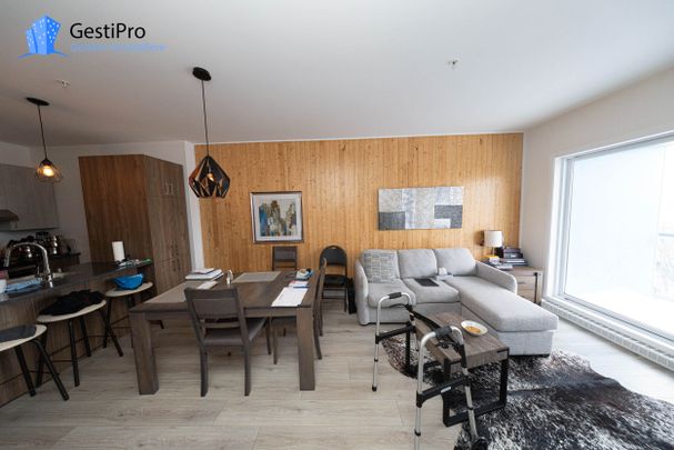 20 Charest Ouest – Le Kaméléon - Photo 1