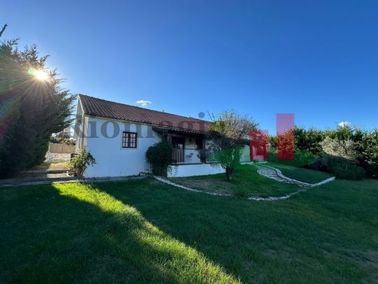 Moradia T4 em Santarém - Photo 1