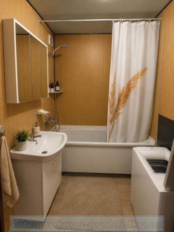 Pronájem bytu pokoj 25 m2 - Photo 3