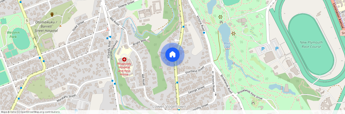 88 Carrington Street, Lower Vogeltown, New Plymouth