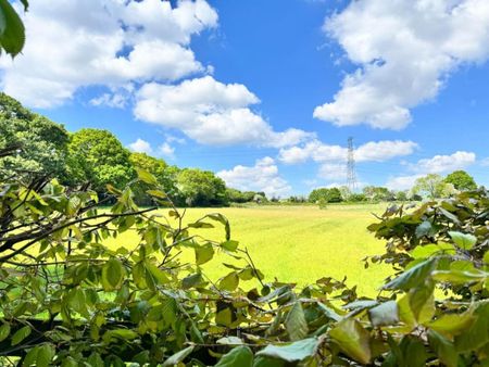 Lower Lane, Lichfield - Photo 3