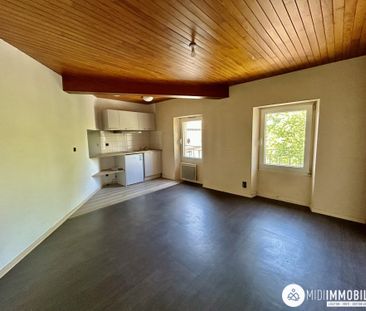 Location Appartement 1 pièce 29m² ALBI 81000 - Photo 1
