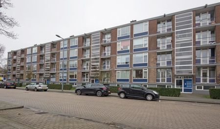 Buizenwerf 0ong, 3063 AZ Rotterdam, Nederland - Photo 3