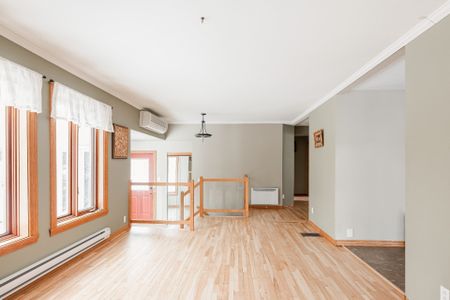 419A Rue Cherrier - Photo 2