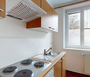 Oelweingasse/Braunhirschenpark - Erdgeschoßwohnung in guter Hausstr... - Foto 3