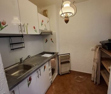 Location Appartement 1 pièce 25m² - Photo 4