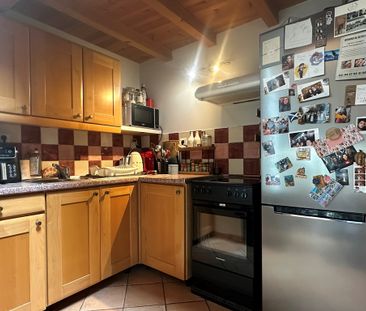 Location Appartement 2 pièces 50m² CHAMPAGNE AU MONT D OR 69410 - Photo 5