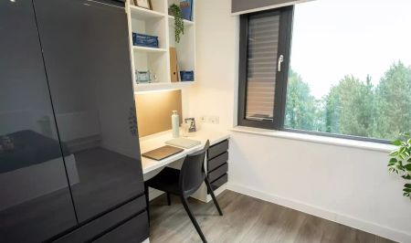 Super Elite Studio - Accessible - Photo 5