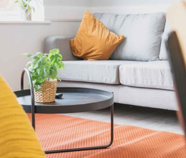 Bronze Plus Room - Photo 5