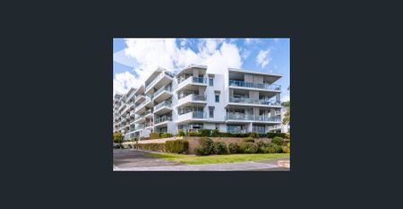 Spacious 2 bedroom Mirvac WATERFRONT Apartment - Photo 2