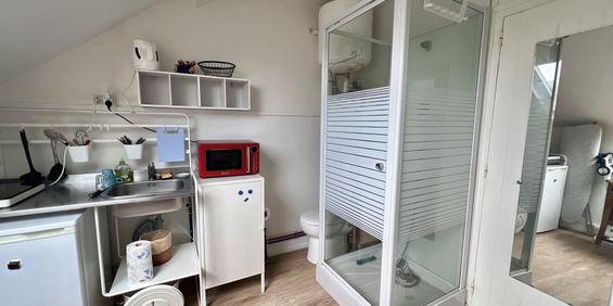Location Appartement 1 pièce 9m² NANTES 44100 - Photo 3