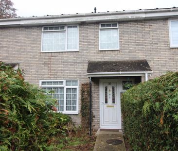 3 bedroom House To Let - Photo 6