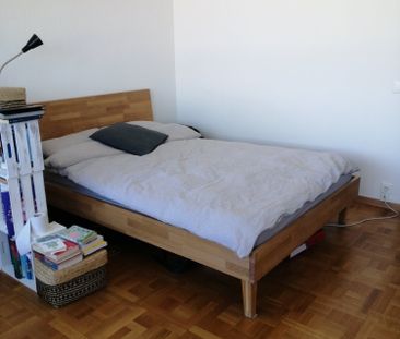 1.5 Zimmer, 35 m² - Photo 3