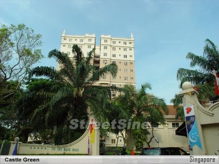 Castle Green (D26), Condominium - For Rent - Photo 3