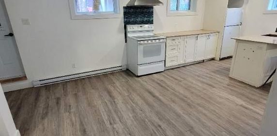 Logement 4 1/2 spacieux et rénové à Vaudreuil-Dorion avec stationnement - Photo 2