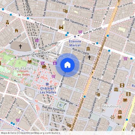 Rue du Cygne, entre Boulevard de Sebastopol et Rue Pierre Lescot 75001 Paris (1er arrondissement)