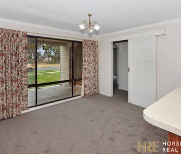 New carpet and Paint - 4 Bedroom Home - Central - Photo 3