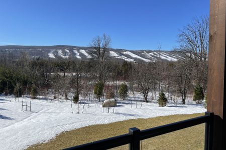 Condo à louer à The Blue Mountains - Photo 3