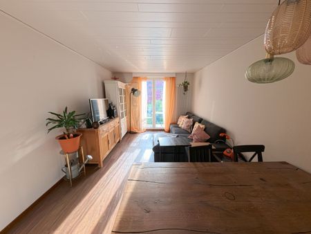 31/2 ROOM APARTMENT IN LUCERNE, FURNISHED, TEMPORARY - Foto 2