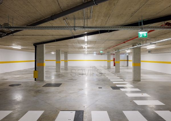 T1 FACTORY - The Garden (Jardins da Efanor)