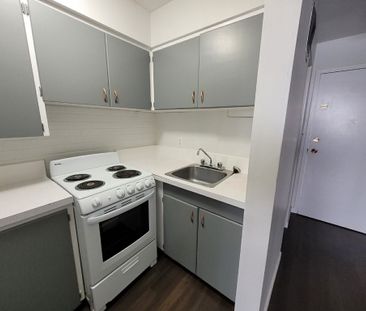 1 BDRM/1 BATH - 813 IDYLWYLD DR N - Available DEC 1 - Photo 3