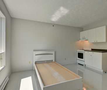 Studio 1 1/2 Sherbrooke - Photo 3