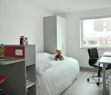 Premium Studio - Photo 5