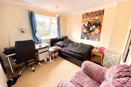 Bluebell Road - Photo 5