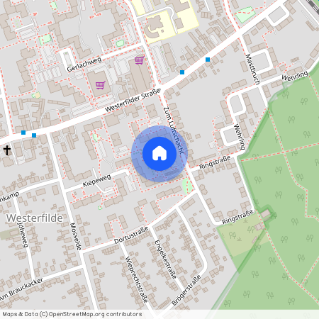 Zum Luftschacht 15, 44357 Dortmund - Westerfilde